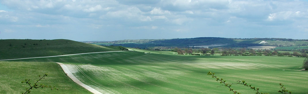 Distant Green Hills - Landscape, Banner